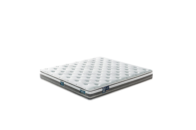 MD39   22cm 云端 兩用型（5589/5699/6599）