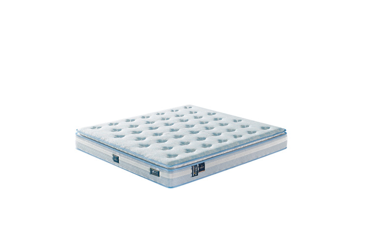 MD26C  26cm 圣羅蘭V  指導(dǎo)價(jià)：5999.00元